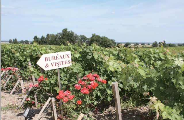 82年拉菲到底有什么特别之处,82年的拉菲为什么这么出名