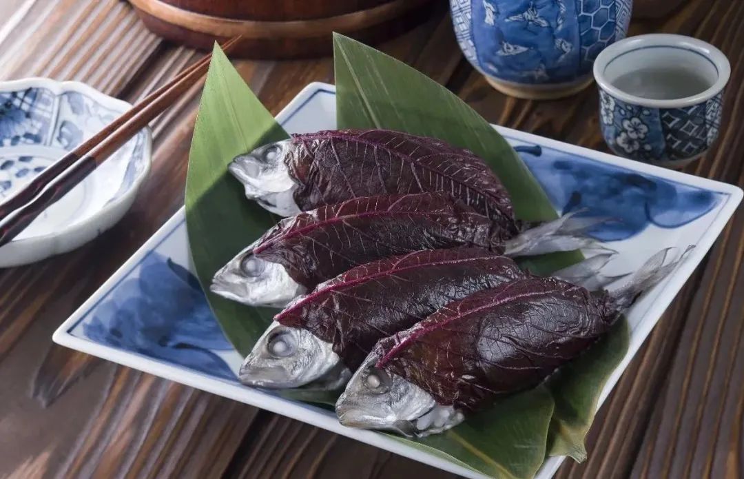 送你一片薄荷叶小说,送你一片银杏叶朗诵