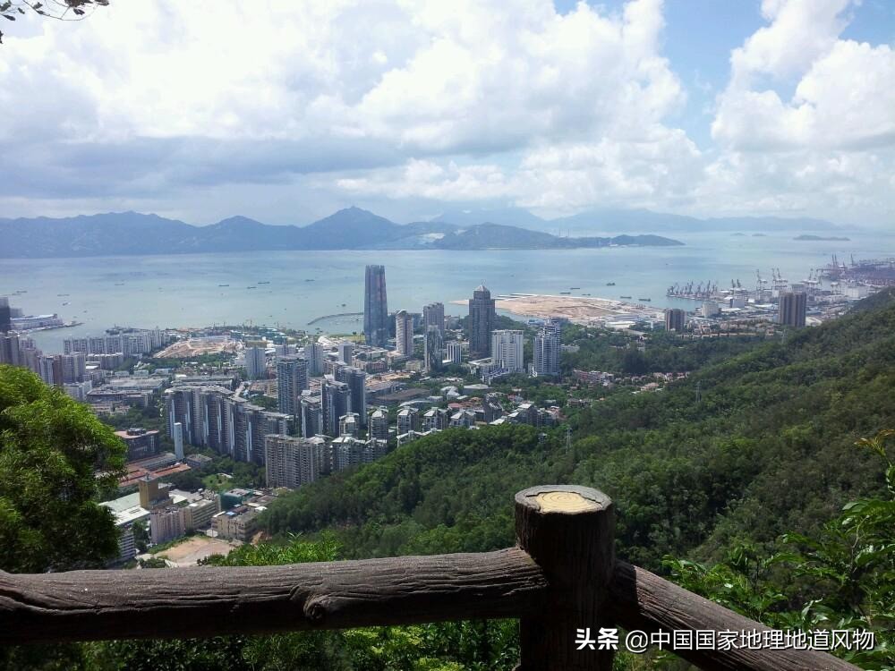 网友如何评价深圳这座城市,怎么夸赞深圳这个城市很美丽