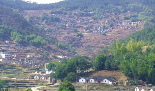 农村最适合干什么生意赚钱投资小,农村做什么生意最赚钱又简单见效