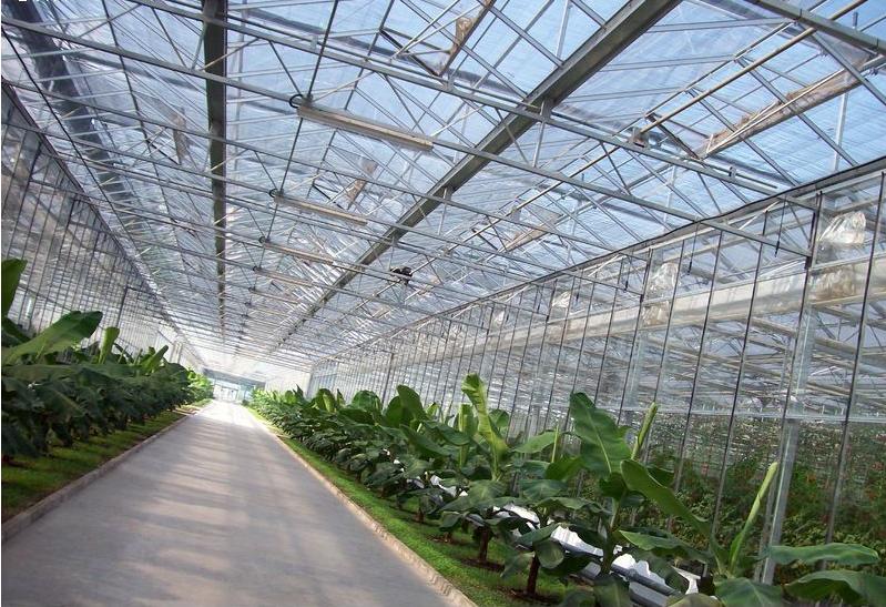 大棚骨架加固,大棚骨架怎么加固防压塌