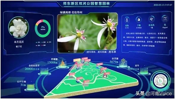 过年郑州小孩儿玩儿的地方,过年在郑州适合孩子玩的地方