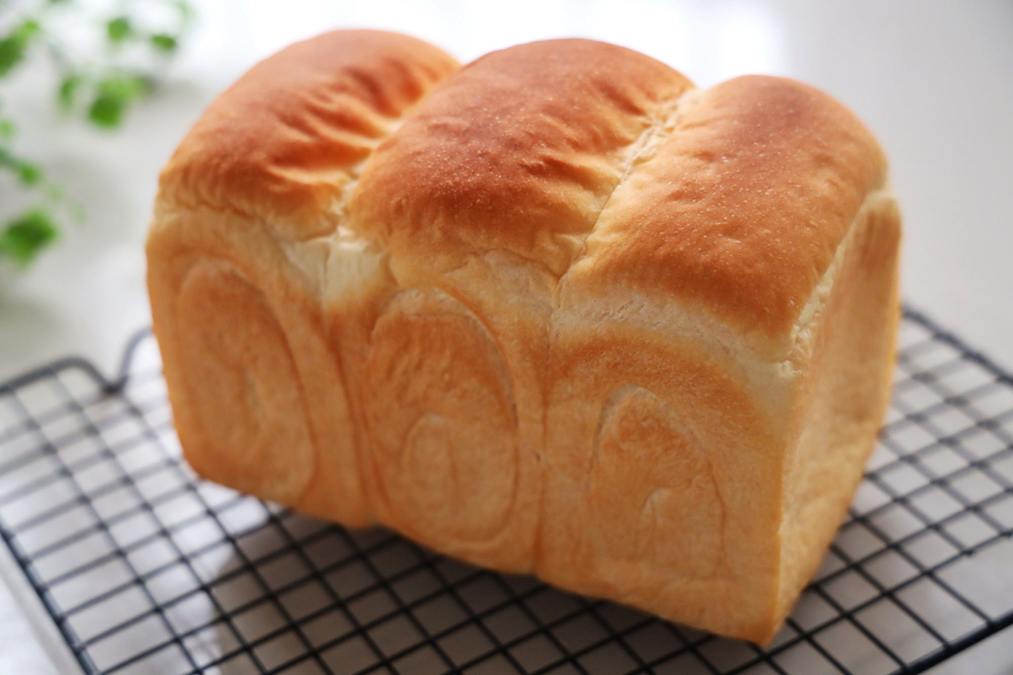 不用厨师机的拉丝全麦吐司,不用揉面的吐司做法