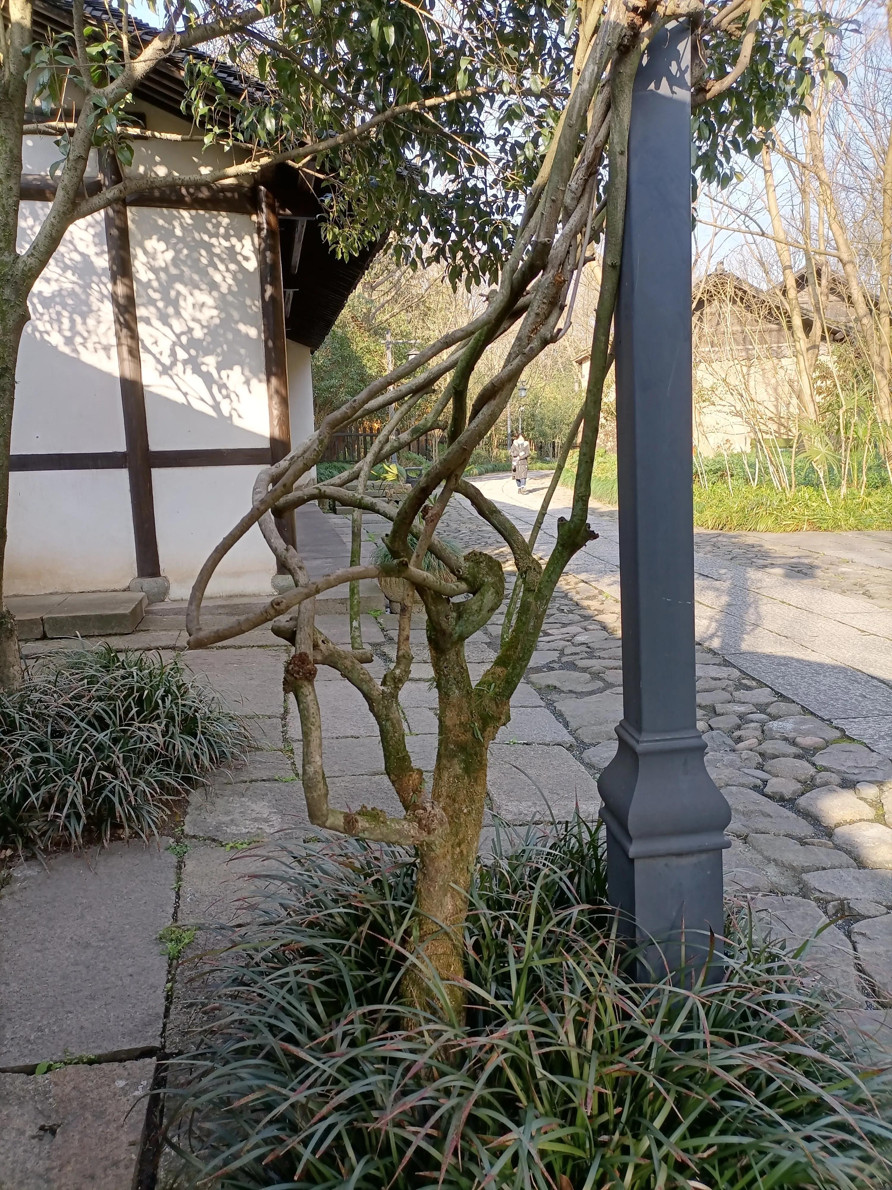 同样是房产中介，来说说我为何同意跟这个人成交