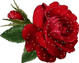 收藏】有了它，在上海碰到任何问题都不怕！