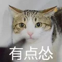 猫咪发情那些事，发情的猫咪都有什么表现呢？