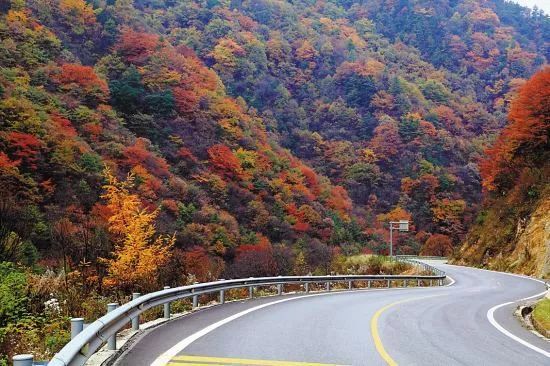 神农架旅游攻略最新,神农架秋天旅游攻略