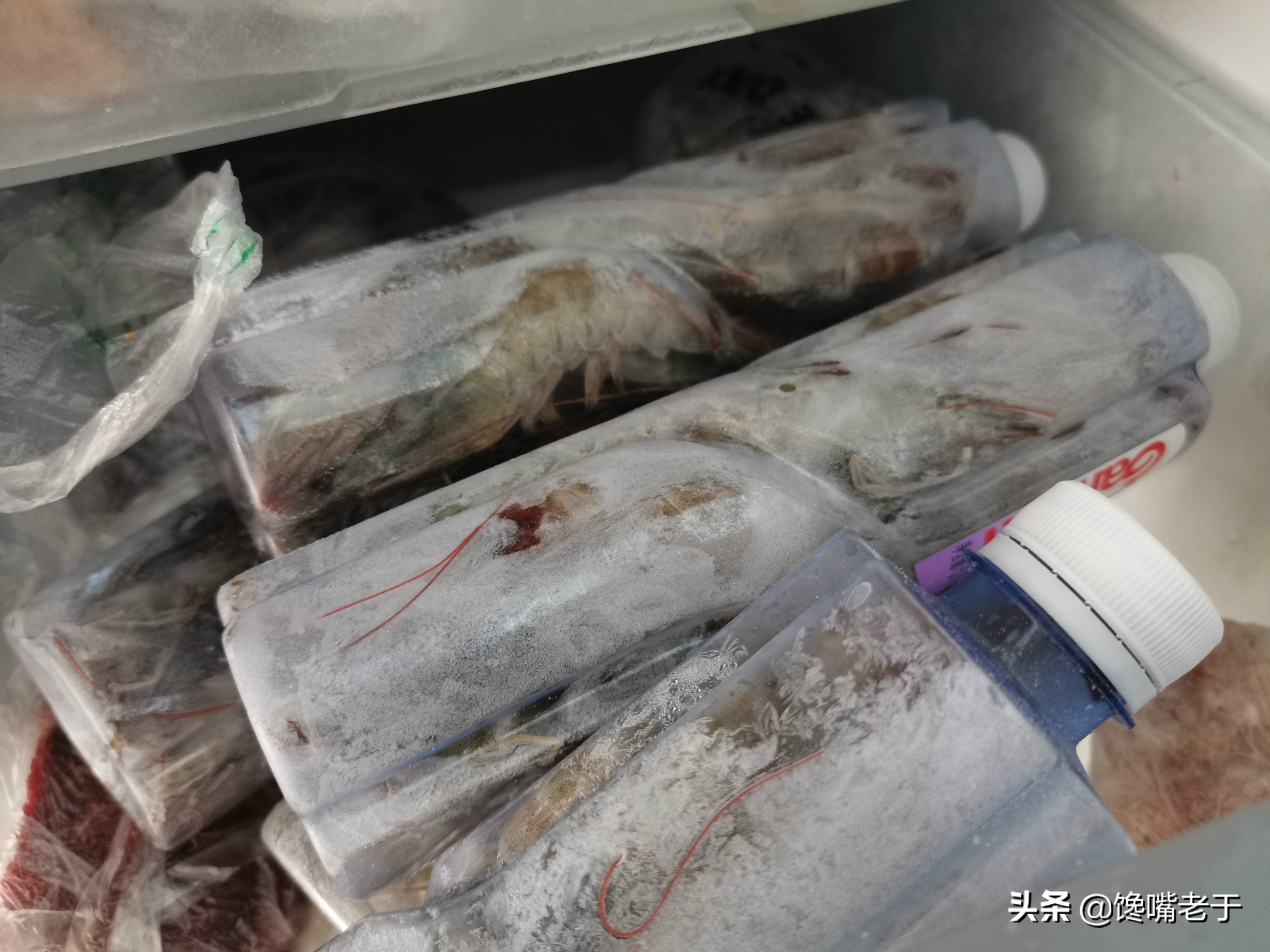 鲜虾怎么保存新鲜又长久,鲜虾活虾怎么保存