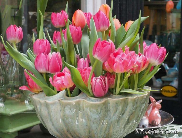 干湿循环土干到什么程度浇水,花盆土壤比较湿润需要浇水吗