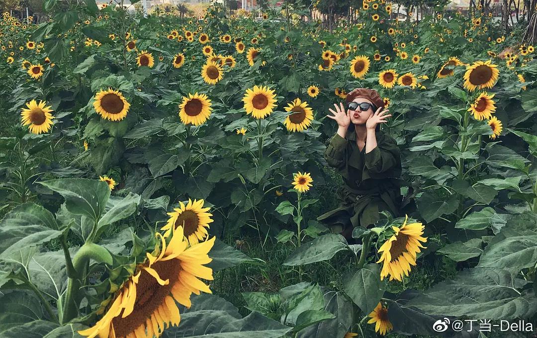 乘风破浪的姐姐们侧颜照,乘风破浪姐姐们美图