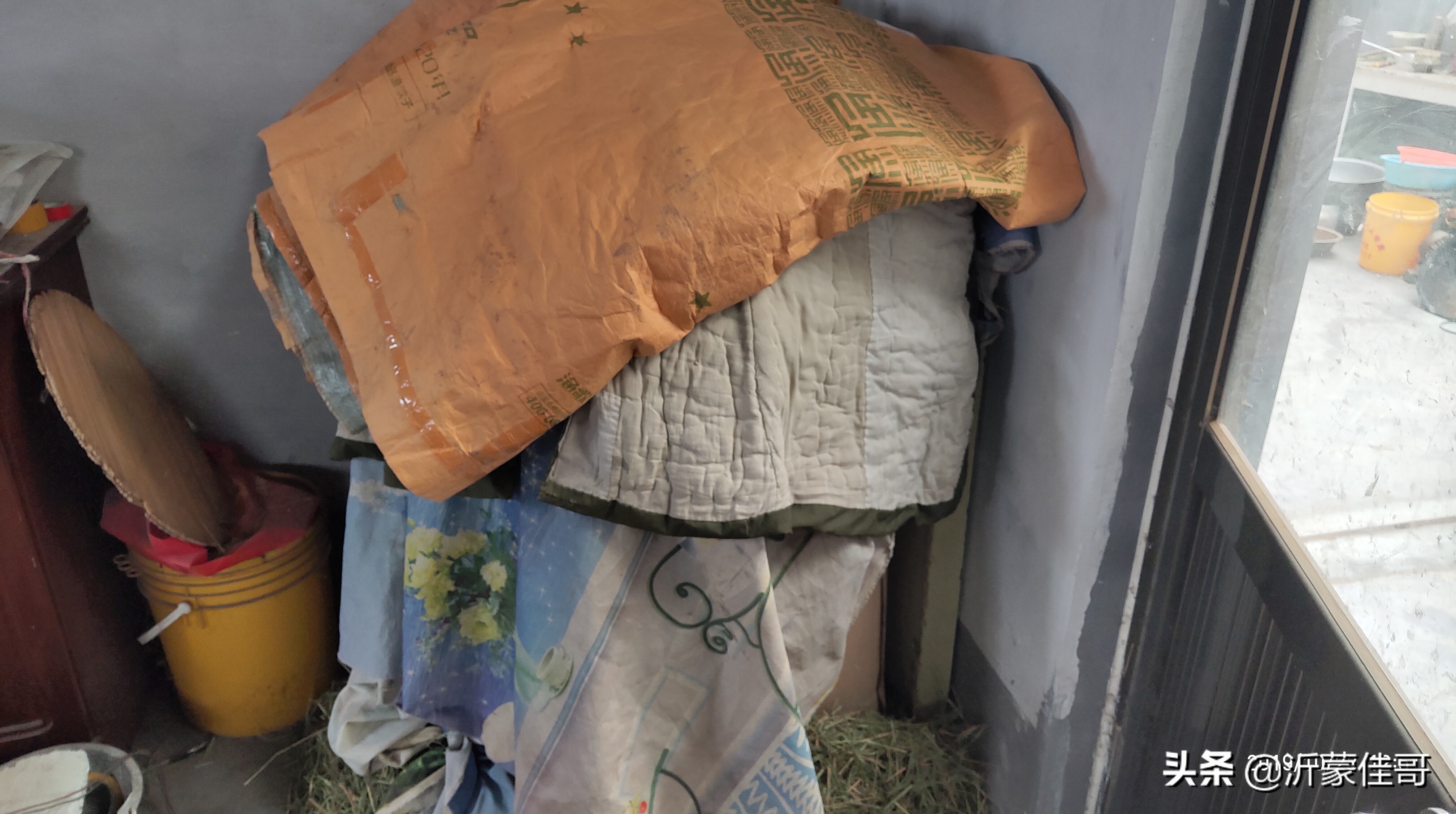 最佳纳豆做法,纳豆简单又好吃的做法