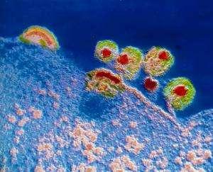 乙肝和乙肝病人一起吃饭会传染吗,和乙肝病人聚餐会传染吗