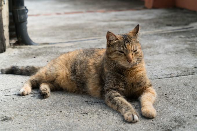 再次拥抱巴西，千万种风情想与你诉说