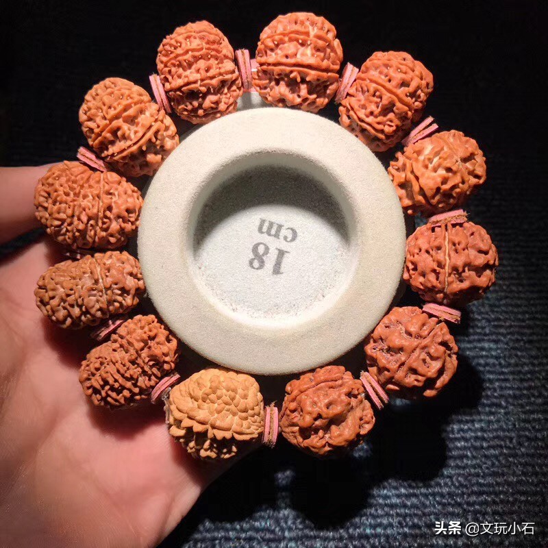 金刚菩提入门知识，新手必备，掌握了三言两语就能让别人刮目！