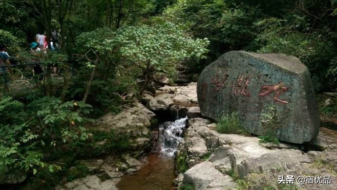 春节安吉农家乐包吃住价格,安吉董岭最好的农家乐包吃住