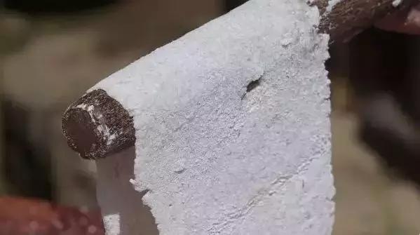 石浦渔港海鲜,石浦渔港码头海鲜