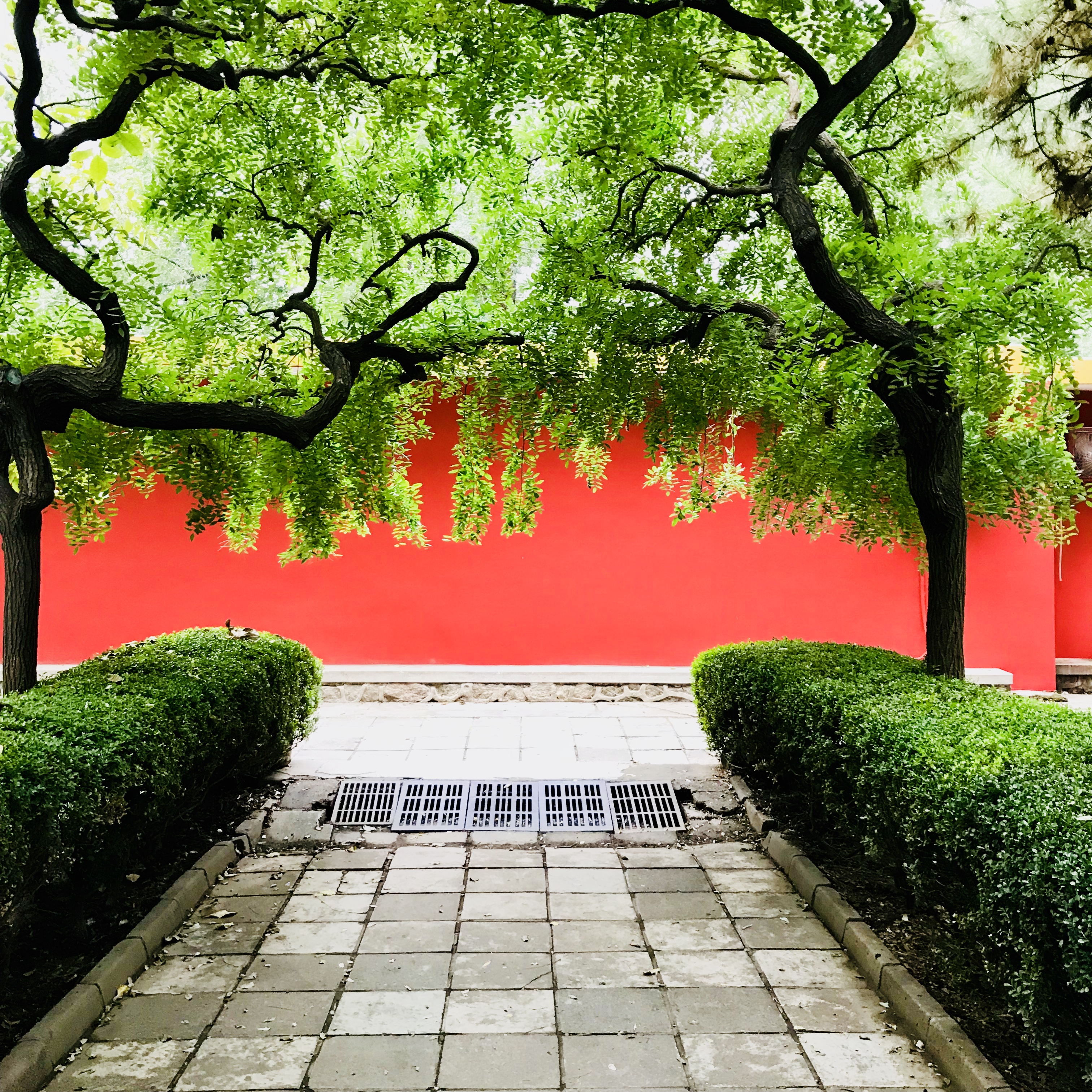 皓哥带你逛南京探店小达人,皓哥带你逛南京