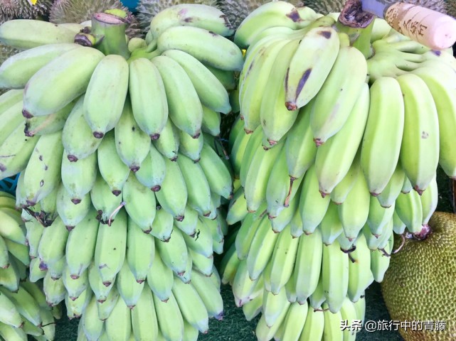 西双版纳最便宜的水果市场在哪里,西双版纳水果和昆明比哪个便宜