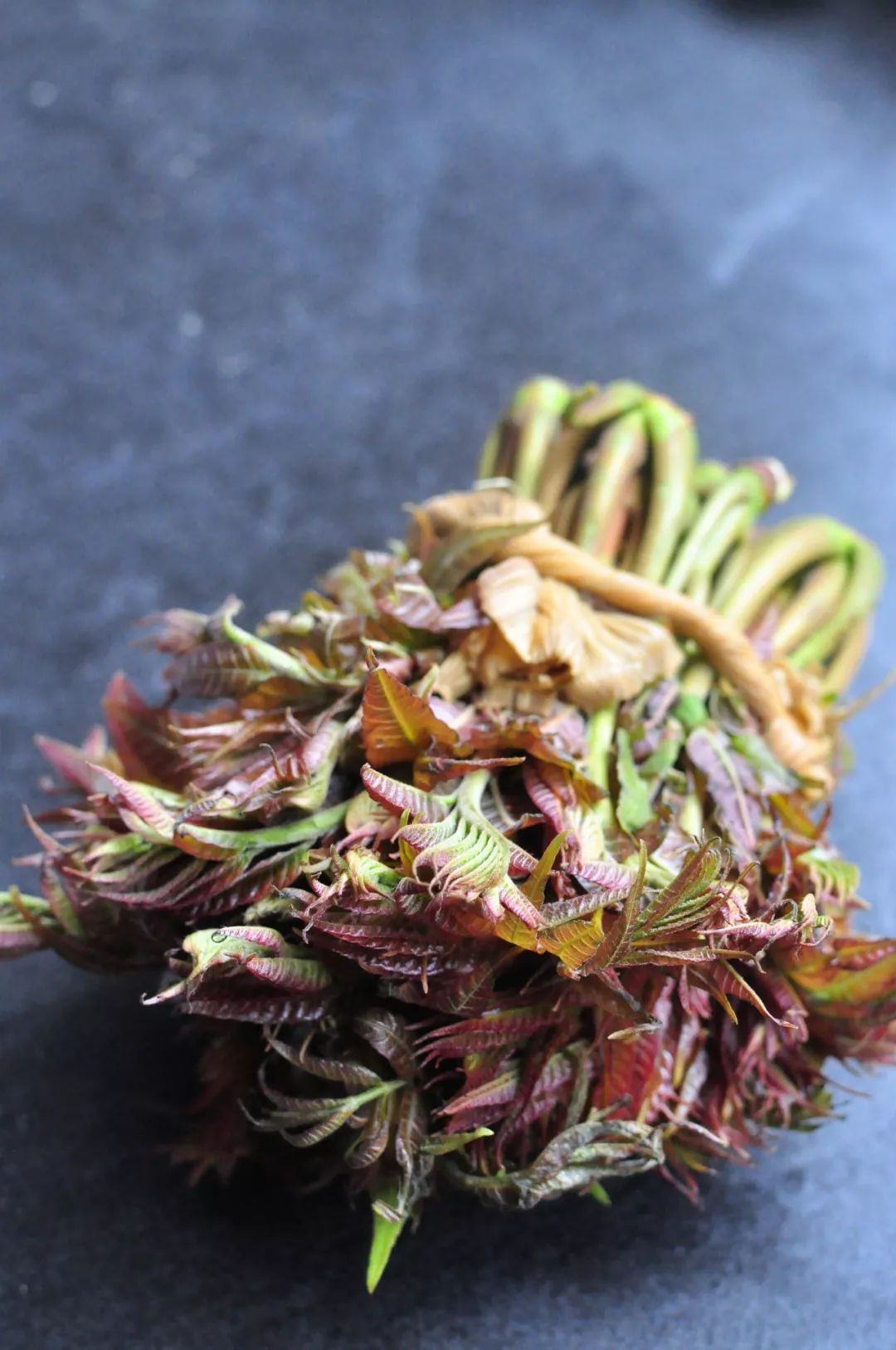 香椿吃起来有清凉的味道,香椿自由