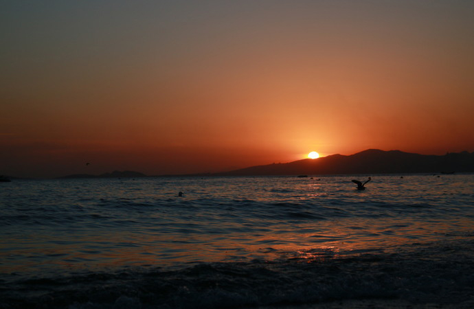 去大连旅游最值得去的地方,大连一日游最佳去处大连旅游攻略