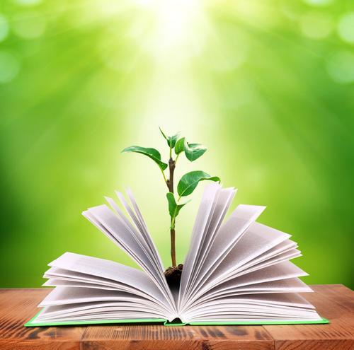 英语翻译句子的顺序规则,英文翻译左右对照怎么对齐