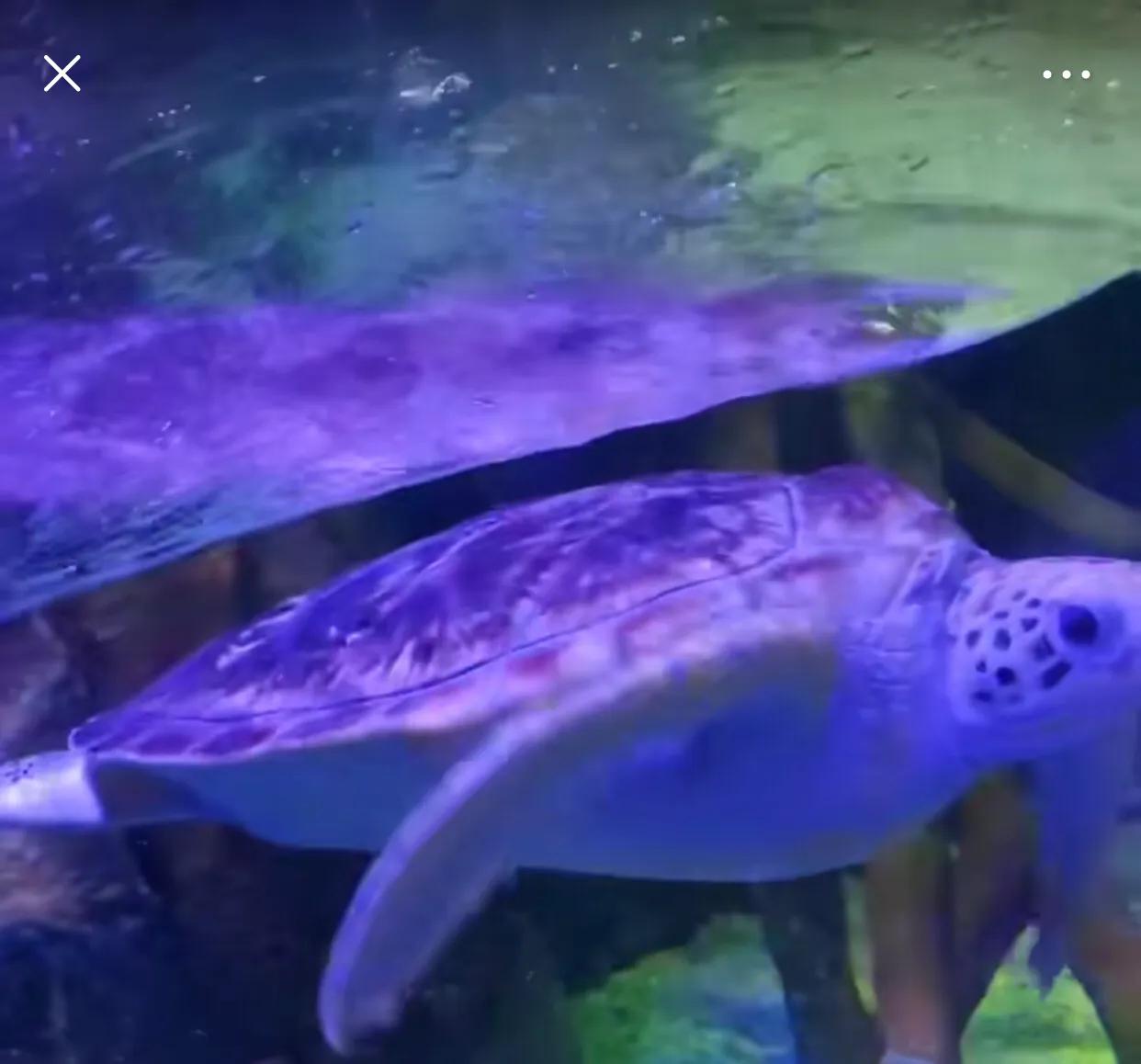 深圳暑假值得带孩子旅游的地方,深圳十大暑假室内必去景点