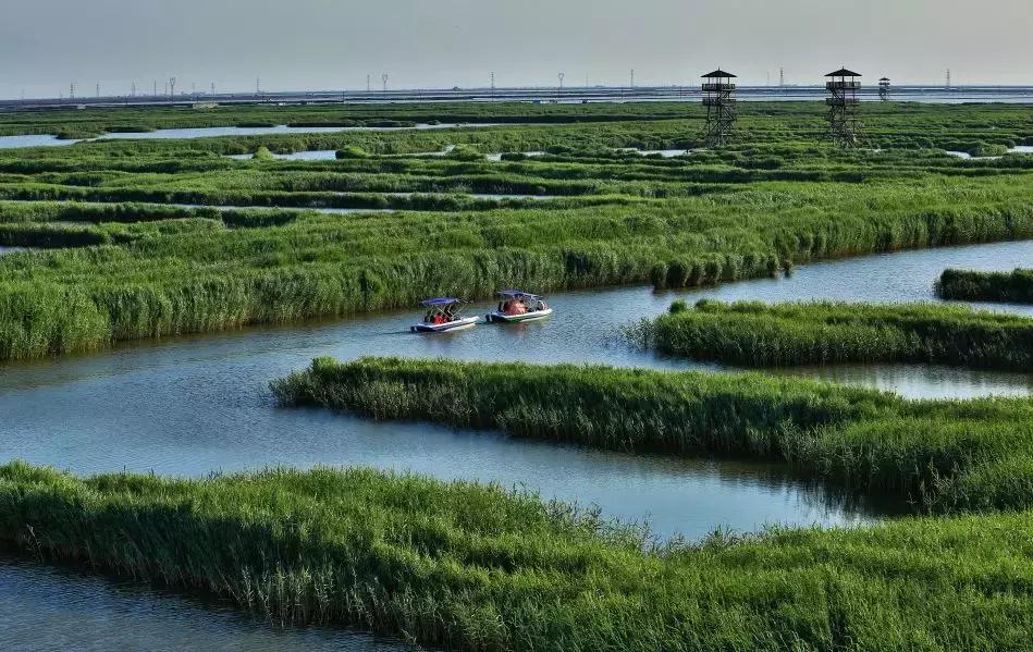 2018年的唐山,讲不出再见的图文