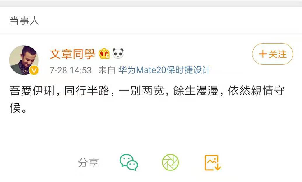 文章马伊琍离婚后的情感话语,文章马伊琍离婚后的感言