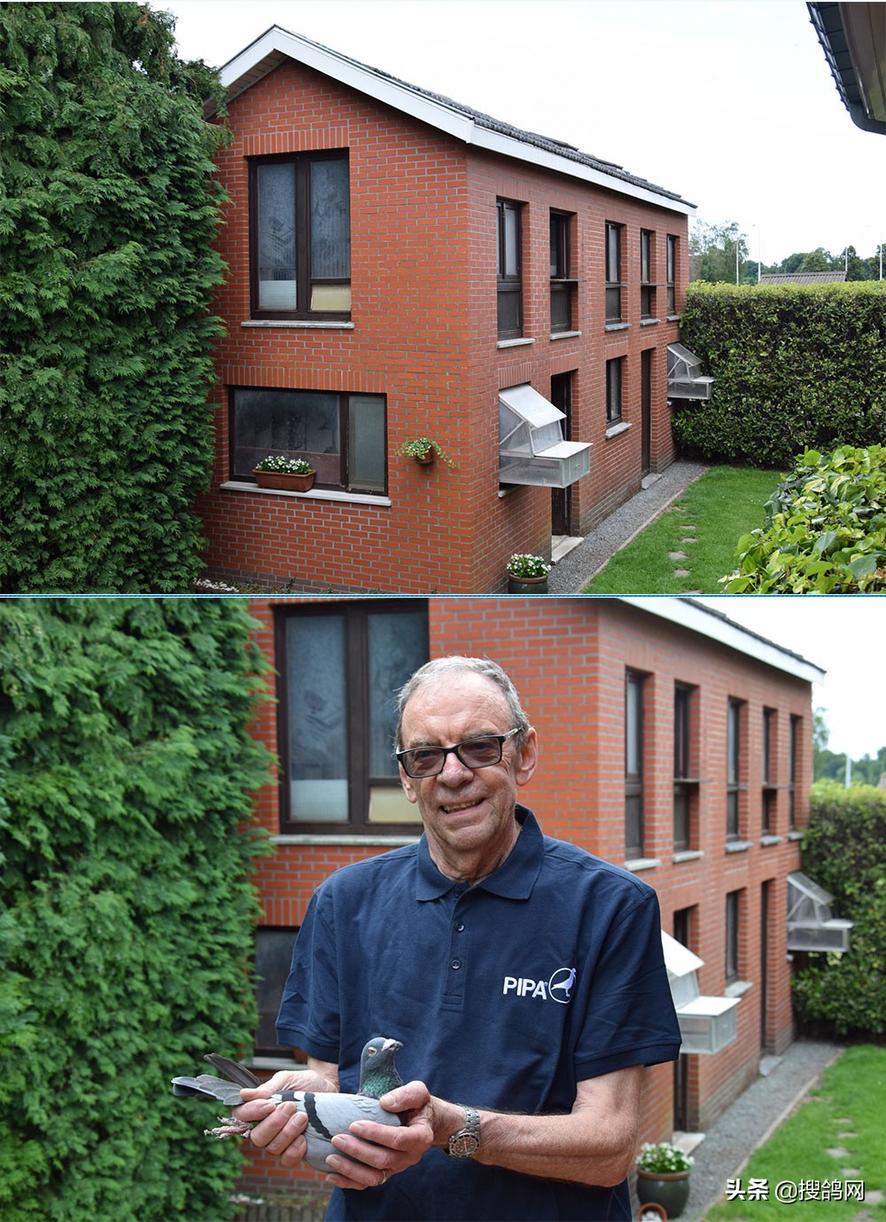 2020年比利时波治I冠军赏析