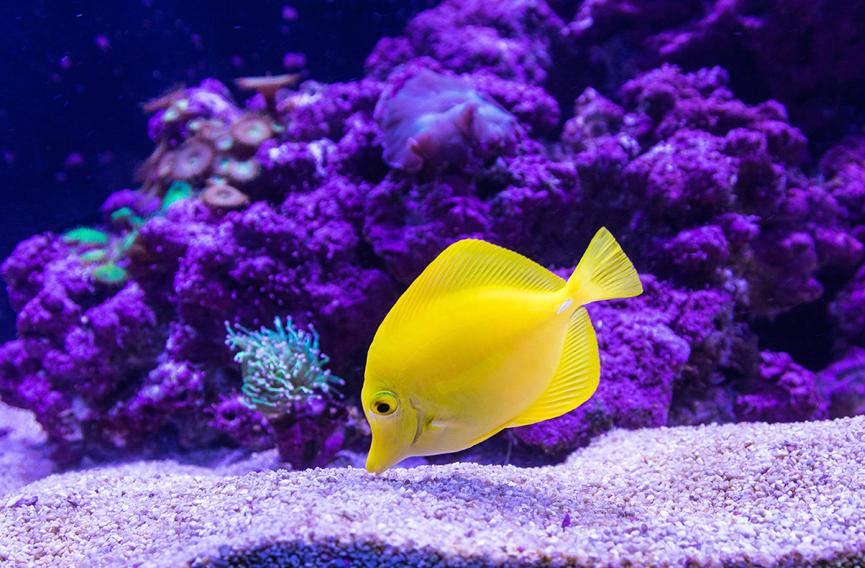 马尔代夫怎么样选岛,马尔代夫选岛