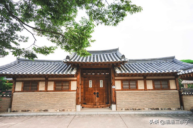 去韩国不购物回来的感受,去韩国一定要买什么