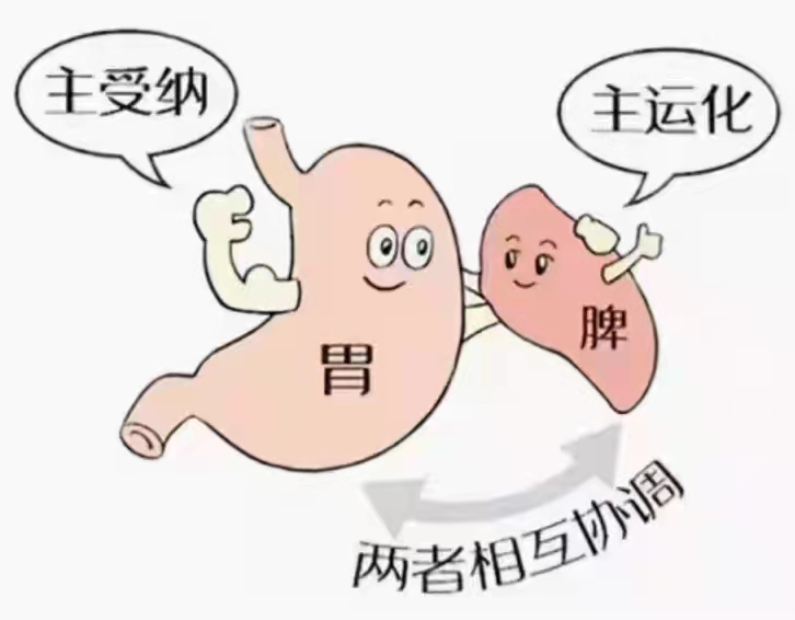 积食是不是老生病,积食为百病之源的原因