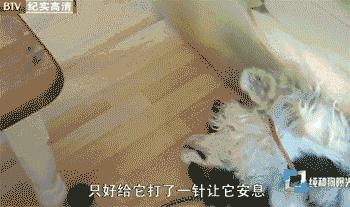 你有什么资格说爱我吗,你有什么资格说爱我完整版