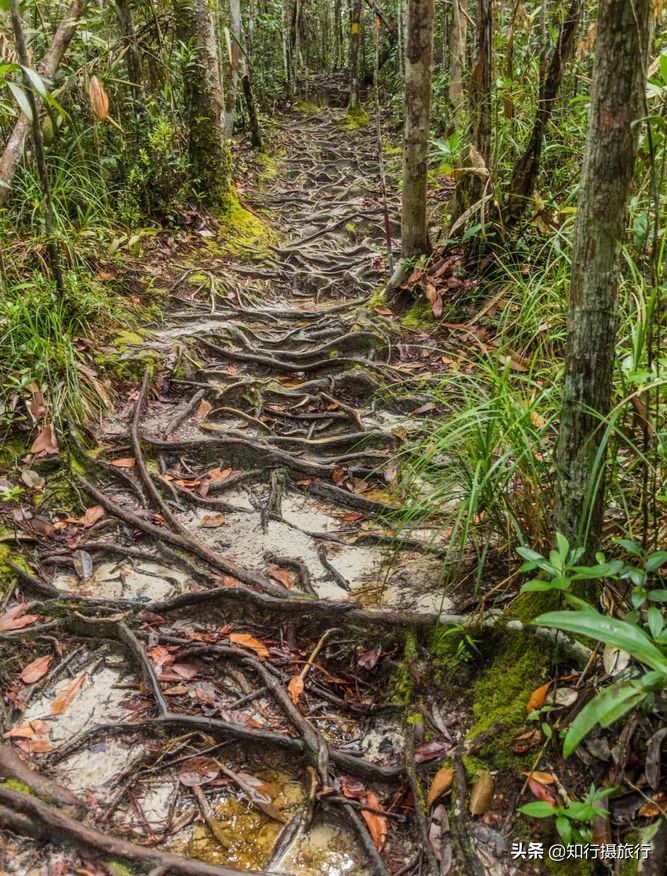 海南环岛自驾游免费景点,海南环岛自驾游游玩攻略