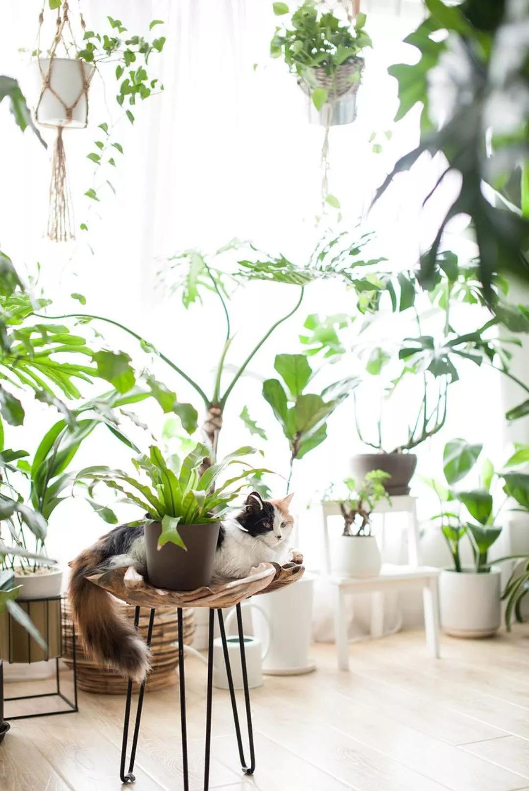 小夫妻98㎡家意外走红!登北京地铁广告,这个家才是都市里的奢侈