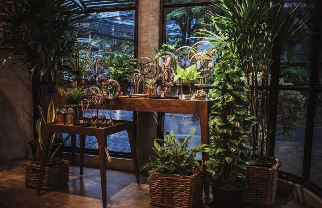 泰国曼谷旅游购物攻略视频,曼谷购物全攻略bigc