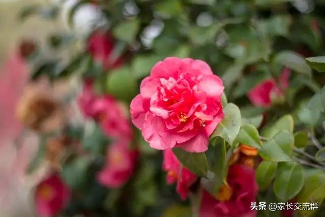 江南大学----一所可能“不适宜”学习的高校