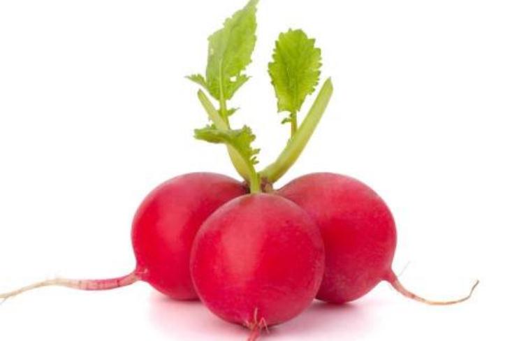 网传的大红萝卜能治痛风？大部分人还被蒙在鼓里