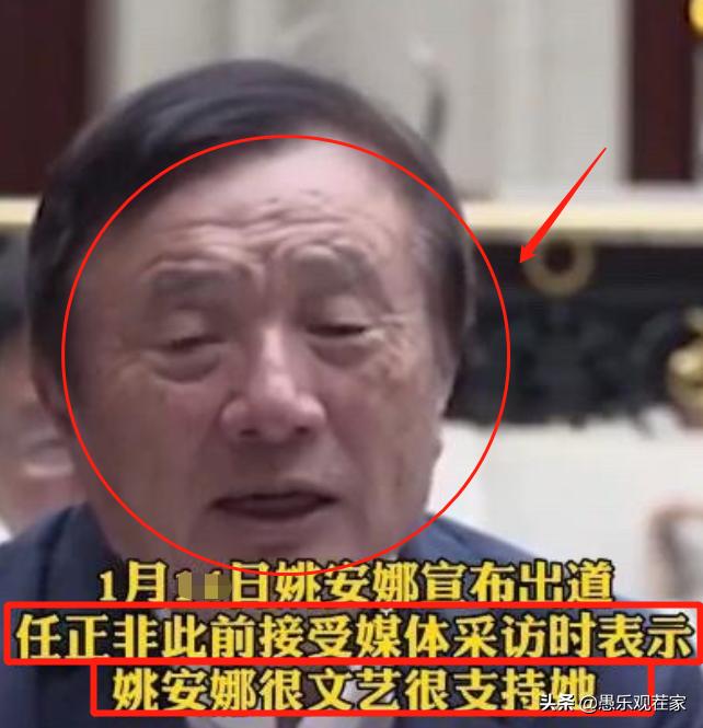 华为二公主姚安娜简介,华为二公主姚安娜颜值分析