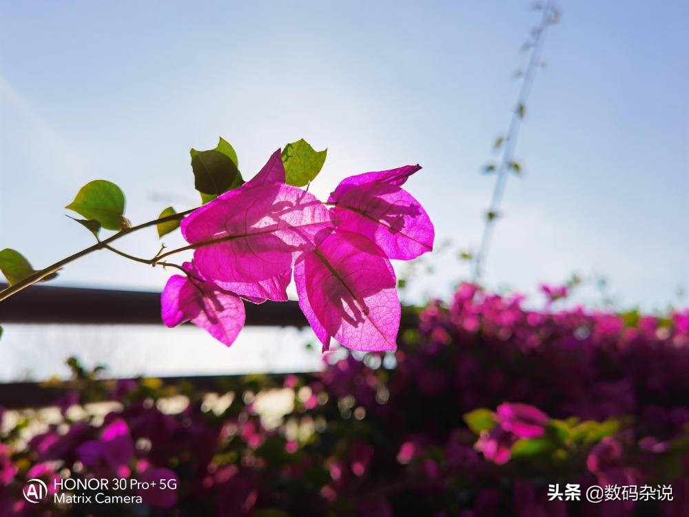 荣耀30pro2024年还值得入手吗,荣耀2020年上市的最高端手机