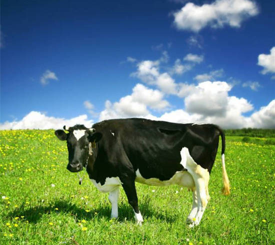 法国宝宝奶粉大全，骄傲不出口！