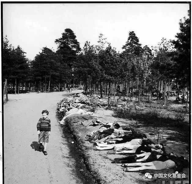 中国女人在欧洲被尊为圣母,被欧洲人尊为圣母的中国女人