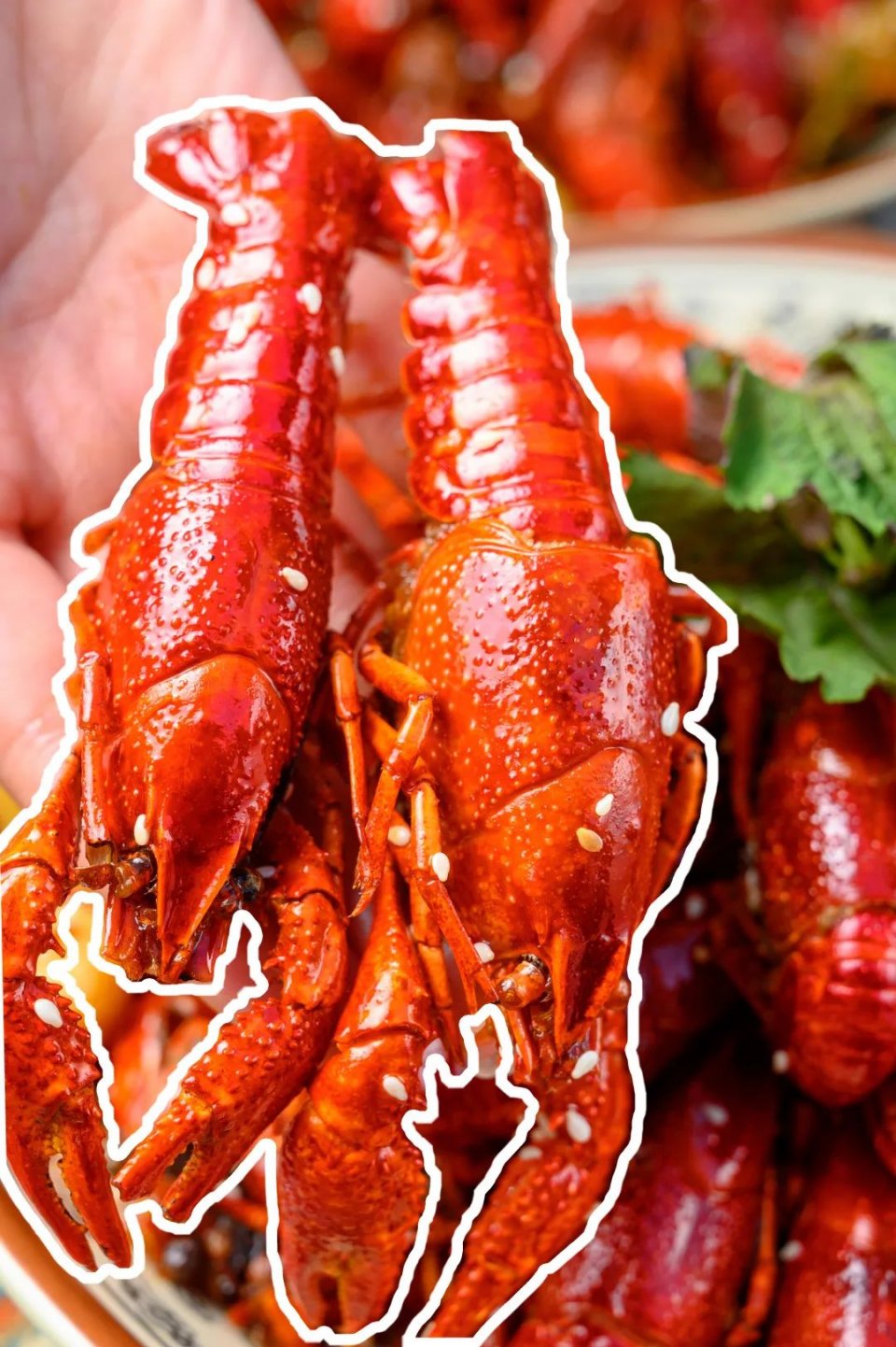 巴掌大小龙虾,深夜爆香小龙虾