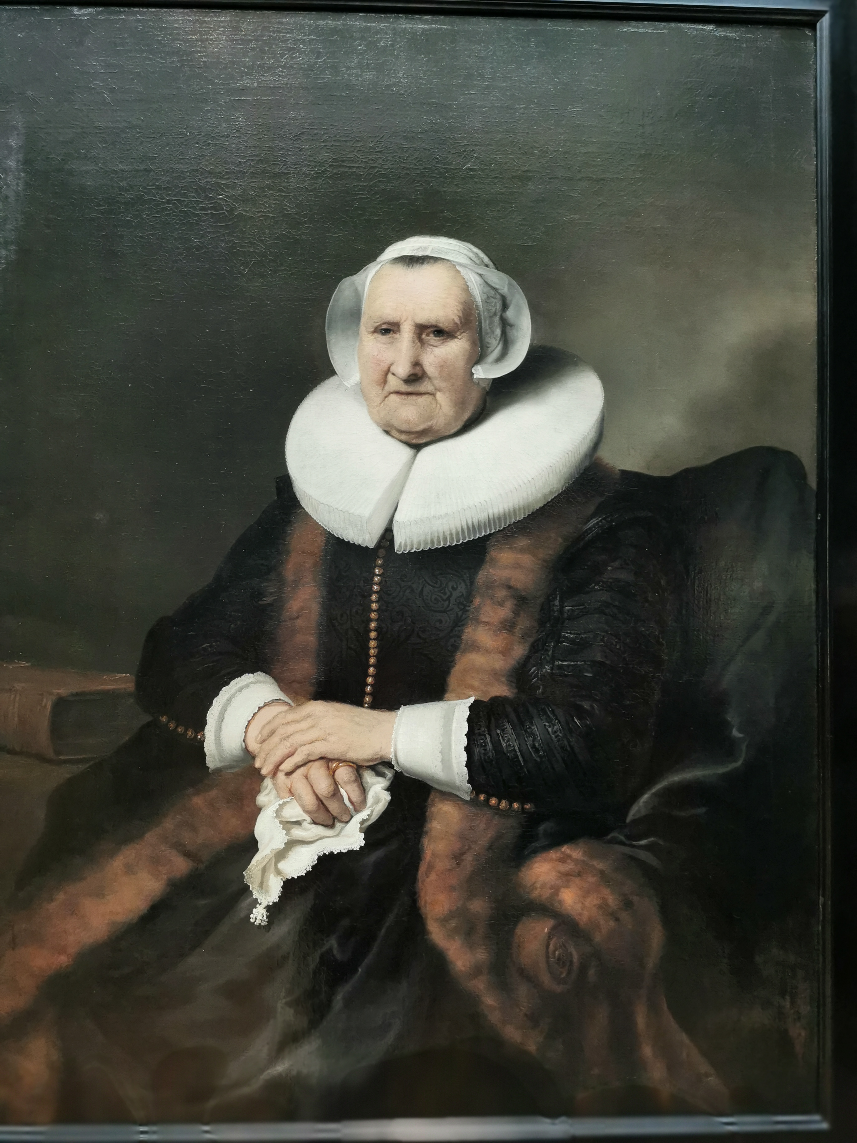 我眼中的欧洲国家,带你走进不一样的荷兰