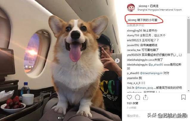 王思聪斥重金买鸭,王思聪自曝斥重金买鸭