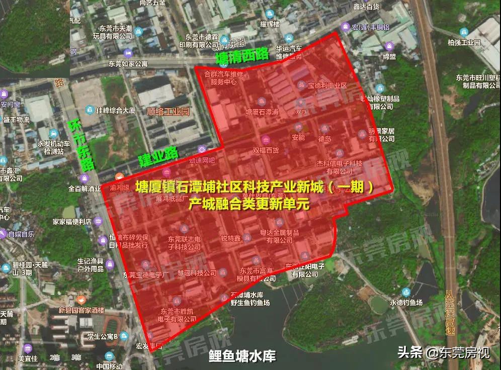 塘厦正在悄悄突围，然后惊艳所有人