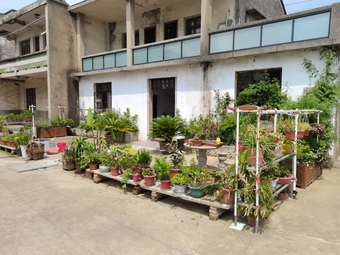 无锡江阴美丽田园,庭院深深美如画