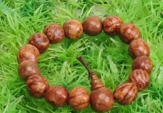 认识了70种菩提，您就是半个专家，再逛文玩市场就没有压力啦！