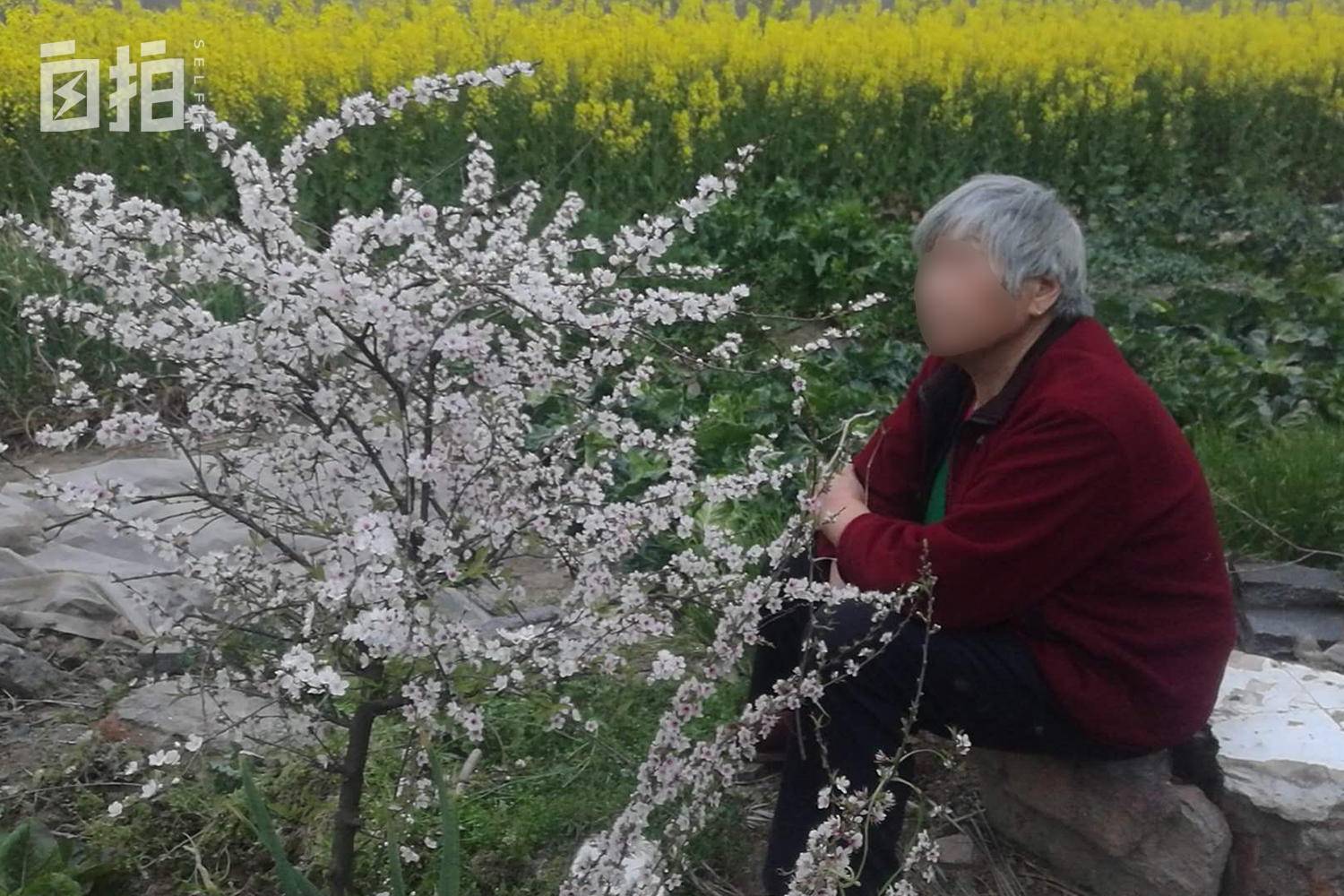 19年前妹妹被害19年后成了悬案,妹妹被害却不知凶手在身边