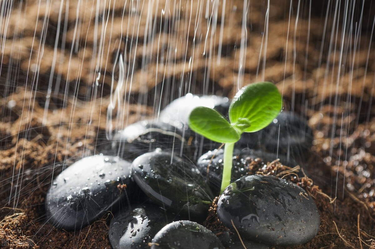 心理暗示力,心理暗示唤醒最好的自己小说